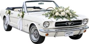 Xe Hoa Mustang Cổ Màu Trắng